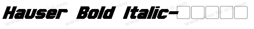 Hauser Bold Italic字体转换
